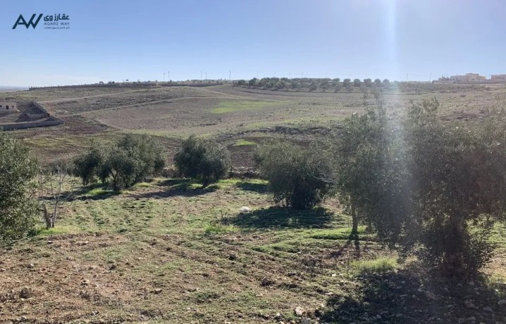 ktaa-ard-llbyaa-bsaar-mghry-fy-alkrk-big-1