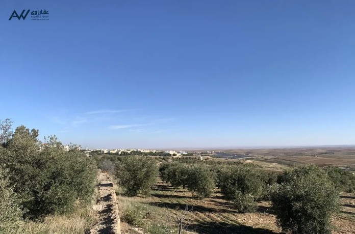 ktaa-ard-llbyaa-bsaar-mghry-fy-alkrk-big-2