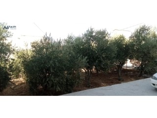 بيت للبيع العمرية الحي الغربي