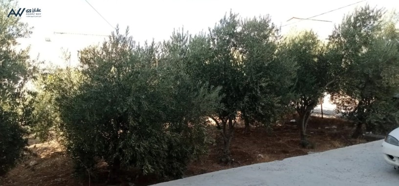 byt-llbyaa-alaamry-alhy-alghrby-big-0