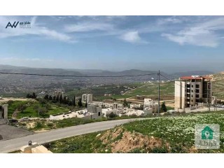 دونم ارض خلف قصر الاميرة بسمة مباشرة بسعر مغري