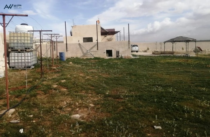 shalyh-omzraa-llbyaa-big-1