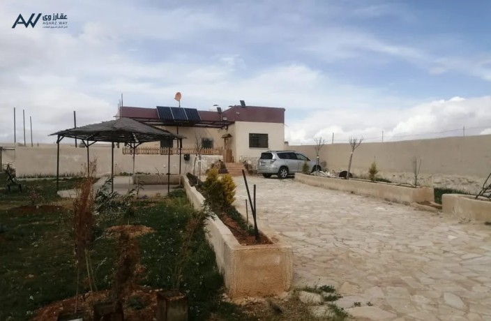 shalyh-omzraa-llbyaa-big-0