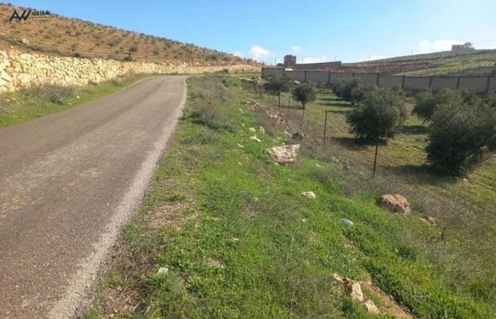 3donm-onsf-mnyfh-1kylo-aan-aotsrad-alzrkaaa-blaama-arbd-arhab-big-2