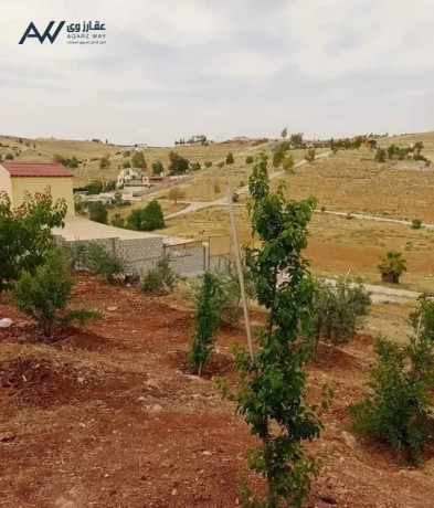 lkth-mzraah-fkhm-llbyaa-bsaar-blaaash-fy-agml-mnatk-arhab-tryk-almfrk-arbd-big-0