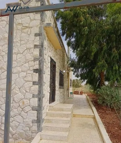 lkth-mzraah-fkhm-llbyaa-bsaar-blaaash-fy-agml-mnatk-arhab-tryk-almfrk-arbd-big-2