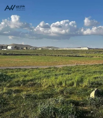 blaama-alzyton-lkth-bsaar-12alf-kamlh-lkth-lkth-gmyaa-alkhdmat-big-2