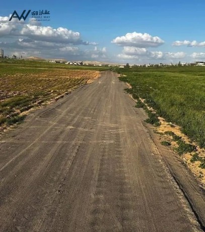 blaama-alzyton-lkth-bsaar-12alf-kamlh-lkth-lkth-gmyaa-alkhdmat-big-1