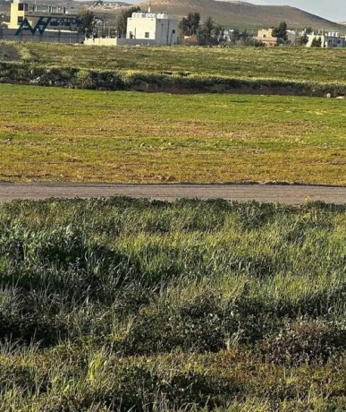 blaama-alzyton-lkth-bsaar-12alf-kamlh-lkth-lkth-gmyaa-alkhdmat-big-0