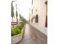 shk-mmyz-onthyf-gda-llbyaa-bshfa-bdran-153-m-sobr-dyloks-mn-almalk-alshk-la-thtag-lay-syan-small-2