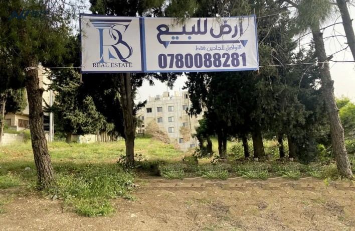 ard-mmyz-gda-gda-gda-lashab-alastthmarat-oalmsharyaa-altgary-okalat-mtaaam-syahy-maaard-mgohrat-shark-alaaalan-adf-al-almfdl-big-1