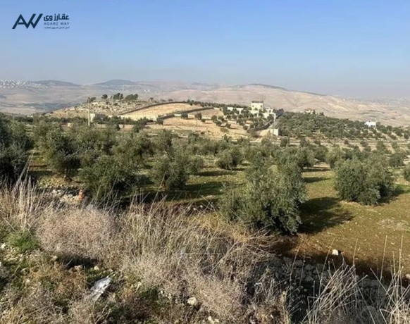 sharaa-alaaalok-alryysy-laaml-agml-shaly-balmntk-algmyl-thlath-onsf-llbyaa-big-0