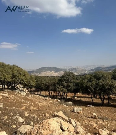 ktaa-ard-llbyaa-balslt-glaad-alnablsyh-big-0