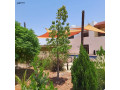 mzraa-fakhr-llbyaa-fy-agml-mnatk-alslt-alsbyhy-syhan-small-1