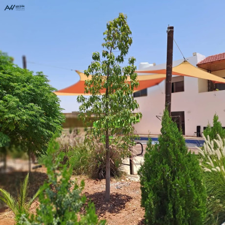 mzraa-fakhr-llbyaa-fy-agml-mnatk-alslt-alsbyhy-syhan-big-1