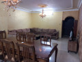 shk-ardy-maalk-llbyaa-fy-alzrkaaa-algdyd-small-0
