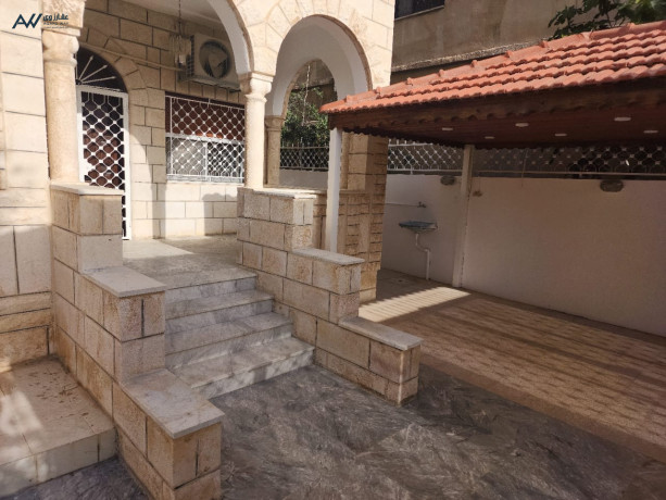 llbyaa-fyla-doblks-shbh-mstkl-fy-alzrkaaa-gbl-tark-big-0