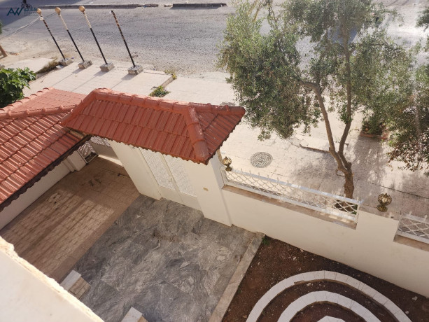 llbyaa-fyla-doblks-shbh-mstkl-fy-alzrkaaa-gbl-tark-big-2