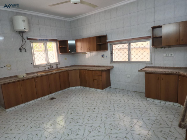 llbyaa-fyla-doblks-shbh-mstkl-fy-alzrkaaa-gbl-tark-big-3