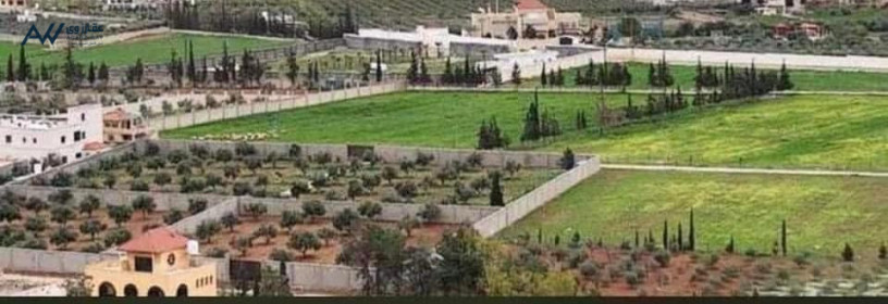 ktaa-ard-llbyaa-fy-am-alaamd-big-2