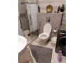 mzraa-llbyaa-fy-alghor-alshmaly-small-2