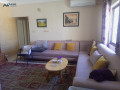 shk-llbyaa-fy-alshmysany-krb-alsfar-albhryny-small-3