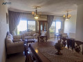 shk-mmyz-llbyaa-maa-alathath-fy-alraby-small-0