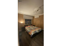 shk-llbyaa-kash-fkt-mn-almalk-mbashr-small-1