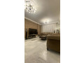 shk-llbyaa-kash-fkt-mn-almalk-mbashr-small-0