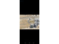 ard-llbyaa-fy-sharaa-almyh-small-3