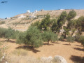 llbyaa-ktaa-ard-small-2