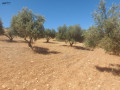 llbyaa-ktaa-ard-small-1