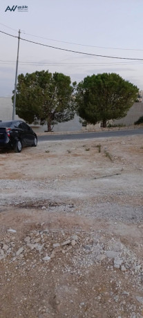 ard-mmyz-llbyaa-fy-shfa-bdran-mrg-alagrb-big-2