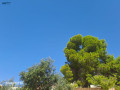 llbyaa-ktaa-ard-mmyz-bmsah-900-mtr-mshgr-small-0