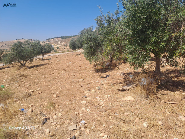 llbyaa-ktaa-ard-mmyz-bmsah-900-mtr-mshgr-big-4
