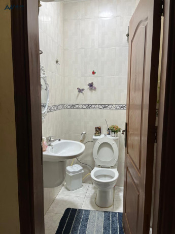 shk-lkt-mn-almalk-mbashr-fy-tbrbor-big-3