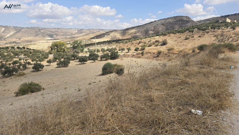 ard-zraaay-llbyaa-fy-arbd-big-1