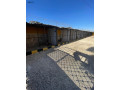 mzraa-llbyaa-fy-arbd-alnaaymh-small-0