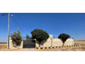 mzraa-llbyaa-fy-arbd-alnaaymh-small-2