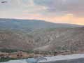mzraa-llbyaa-fy-madba-alfyhaaa-small-1