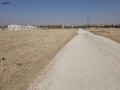 ard-llbyaa-fy-madba-altym-alshrky-small-3