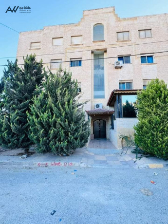 shk-fkhm-llbyaa-fy-agml-moakaa-dahy-alrshyd-big-3