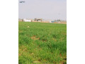 ktaa-ard-astthmary-small-0