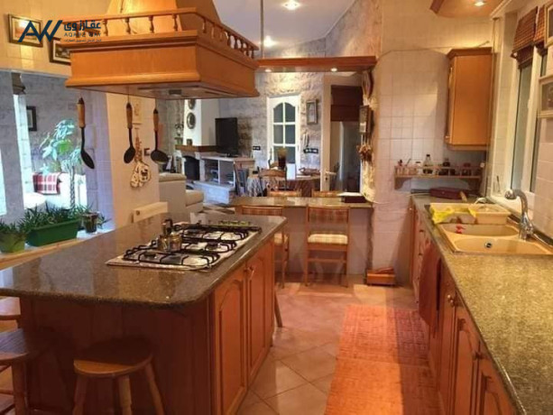 fyla-klasyky-mmyz-llbyaa-fy-aaman-dabok-bganb-alksor-almlky-big-3