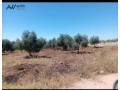 ktaa-arad-llbyaa-mn-almalk-mbashr-small-1