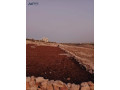 ktaa-arad-llbyaa-mn-almalk-mbashr-small-2