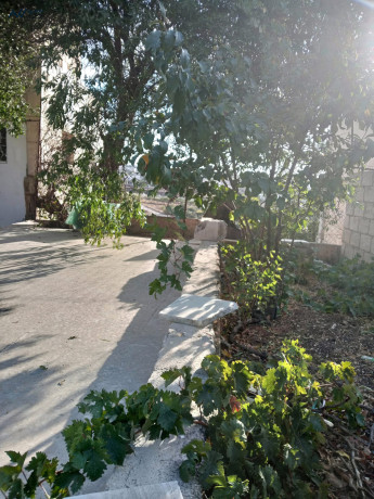 mnzl-mstkl-llbyaa-fy-hofa-almzar-big-3