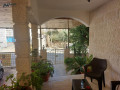 llbyaa-shk-ardy-fakhr-fy-mokaa-mmyz-small-0