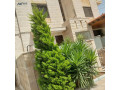 aaalan-shk-llbyaa-balaksat-albnyat-small-0