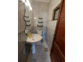 llbyaa-shk-fy-algbyh-am-zoytyn-small-3